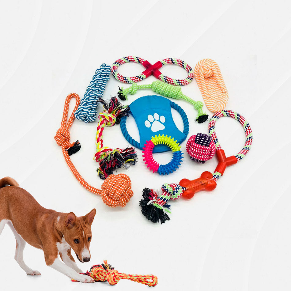 Pack de 10 juguetes para perros de cuerda y goma con un perro jugando