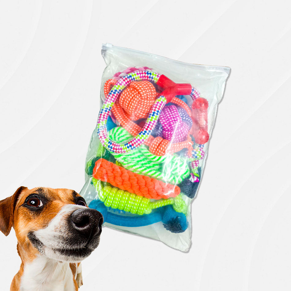 Pack de 10 juguetes para perros dentro de su empaque