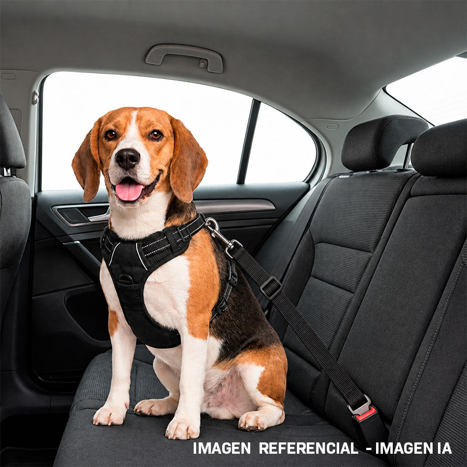 Ilustración referencial generada con IA: perro con arnés y cinturón de seguridad en auto